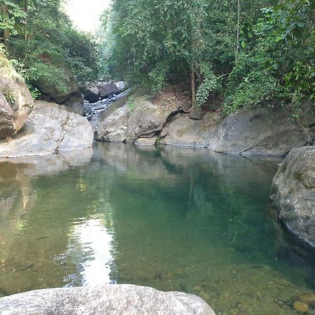 Gallene Gala Nature Resort Kitulgala Εξωτερικό φωτογραφία