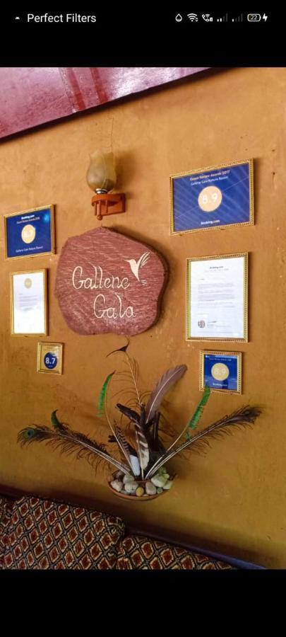 Gallene Gala Nature Resort Kitulgala Εξωτερικό φωτογραφία