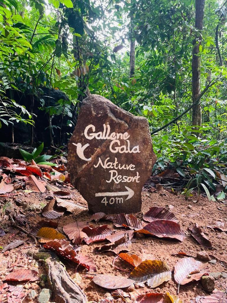 Gallene Gala Nature Resort Kitulgala Εξωτερικό φωτογραφία