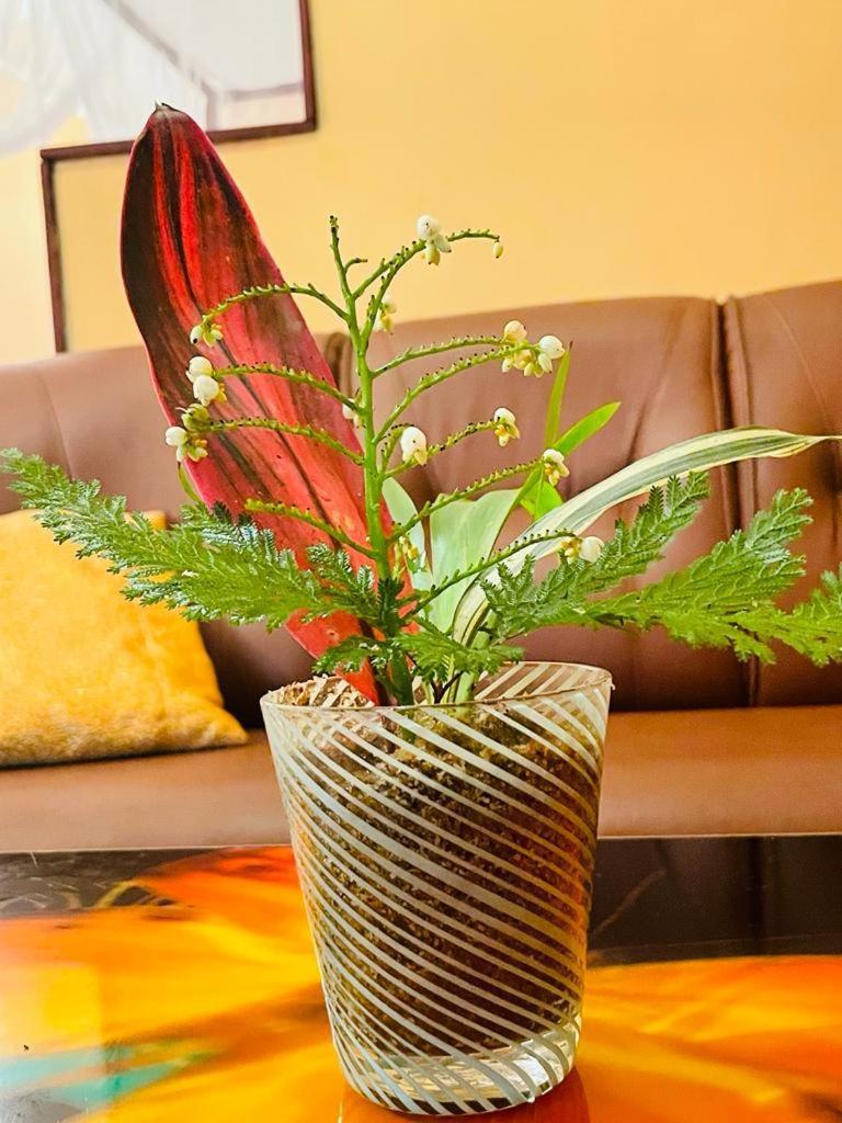 Gallene Gala Nature Resort Kitulgala Εξωτερικό φωτογραφία