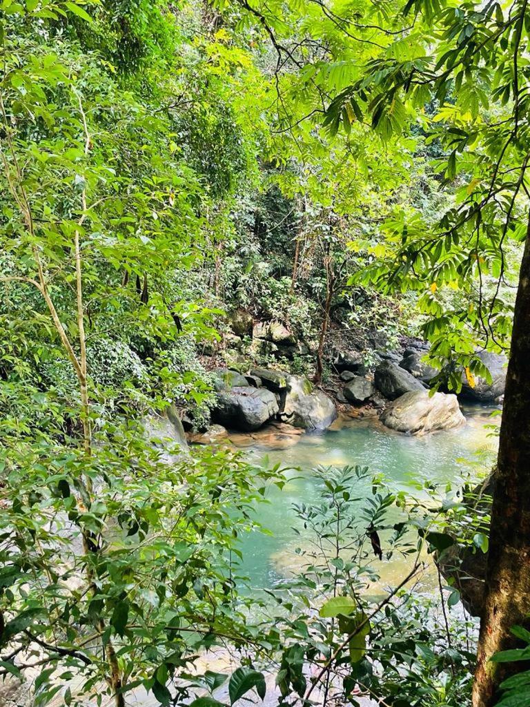 Gallene Gala Nature Resort Kitulgala Εξωτερικό φωτογραφία
