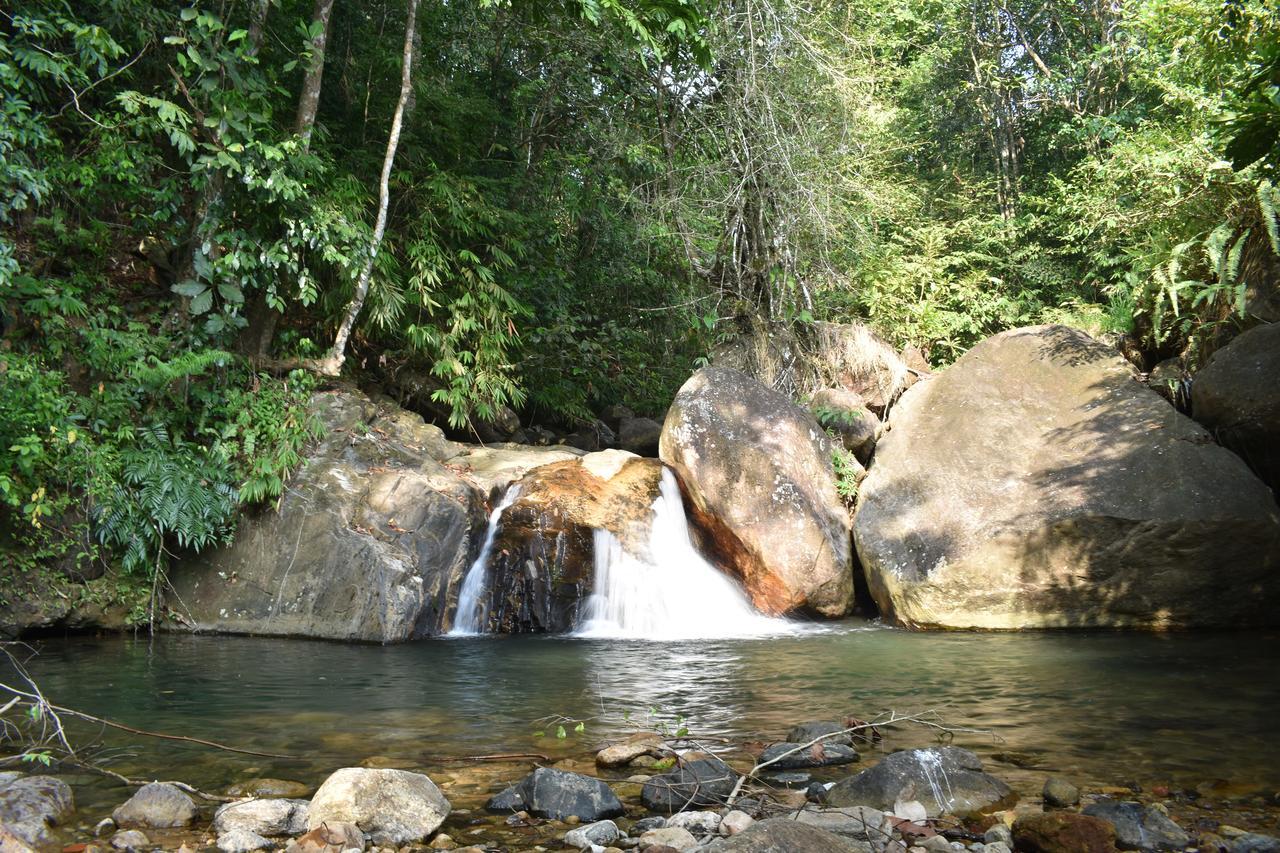 Gallene Gala Nature Resort Kitulgala Εξωτερικό φωτογραφία