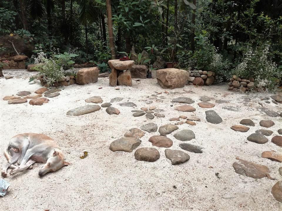 Gallene Gala Nature Resort Kitulgala Εξωτερικό φωτογραφία