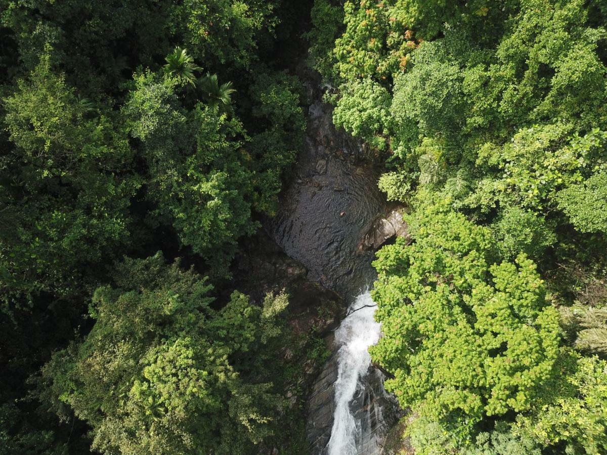 Gallene Gala Nature Resort Kitulgala Εξωτερικό φωτογραφία